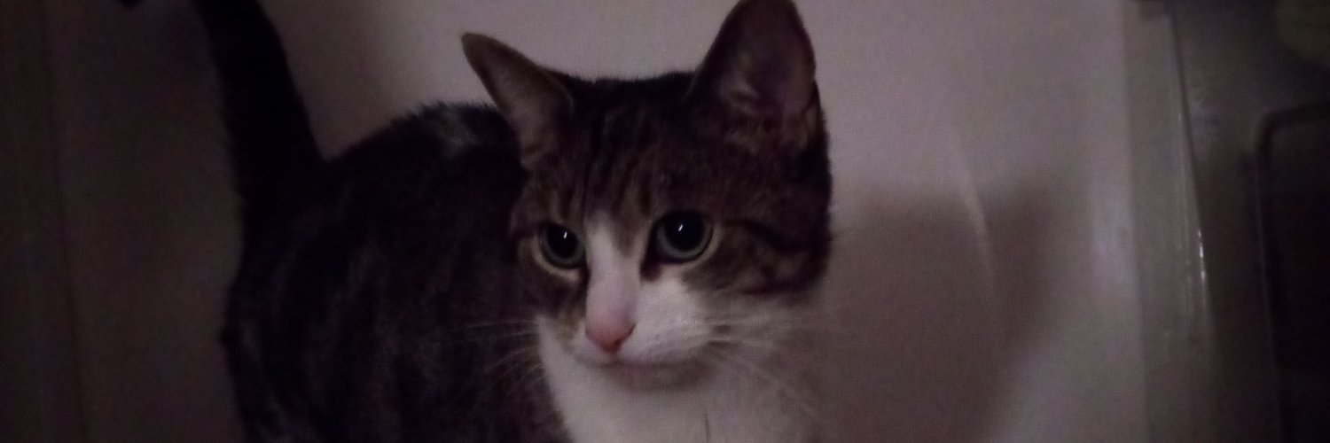 JessCashinIsMe's profile banner image