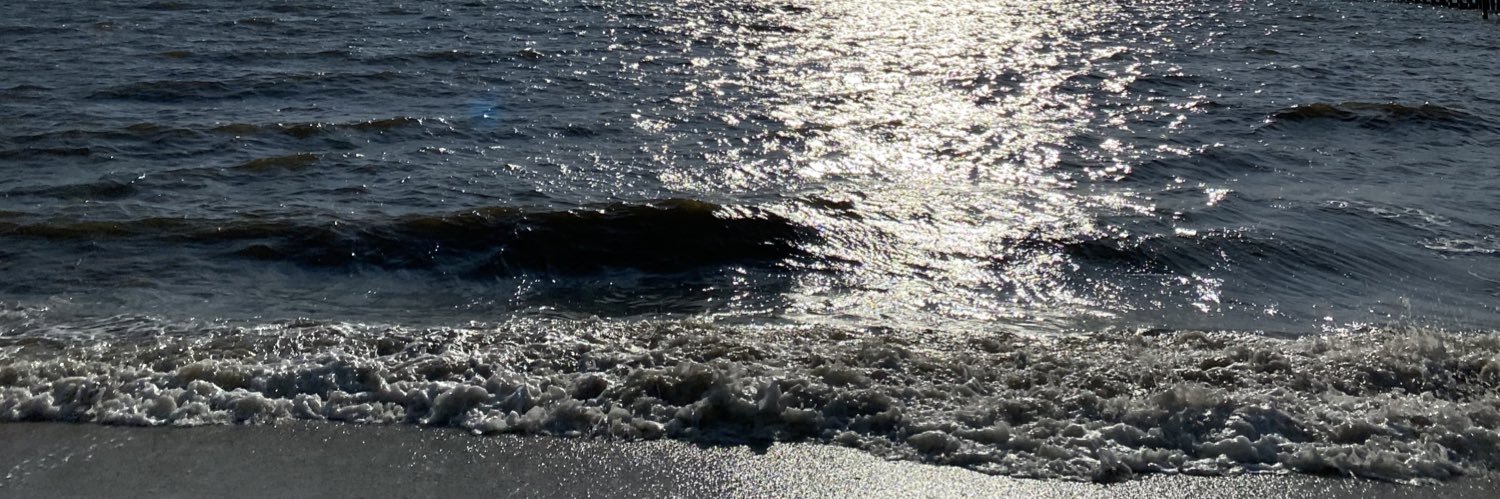 BBLVXK's profile banner image