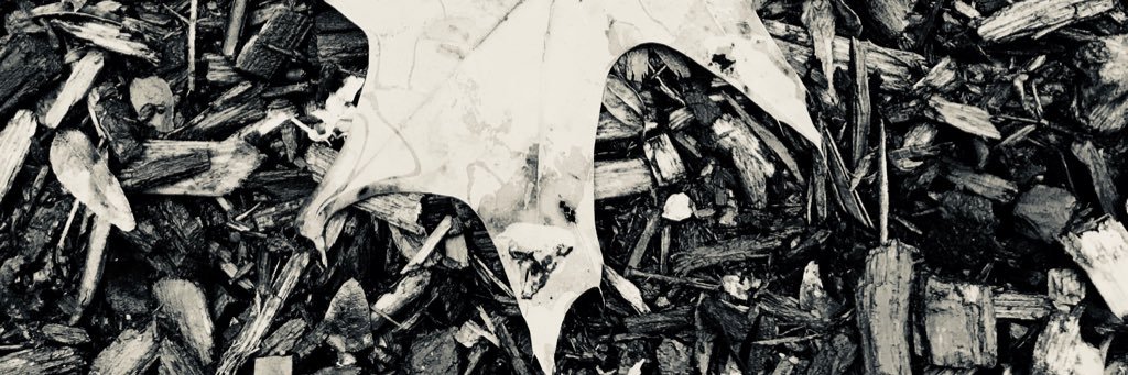 swapnilgaur83's profile banner image