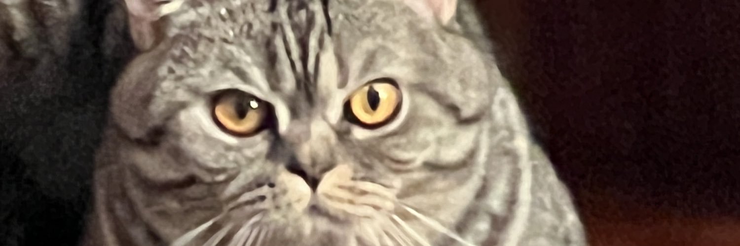 Funnky_Ray's profile banner image