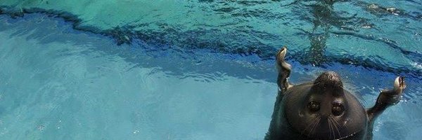 H4EMB0 Profile Banner