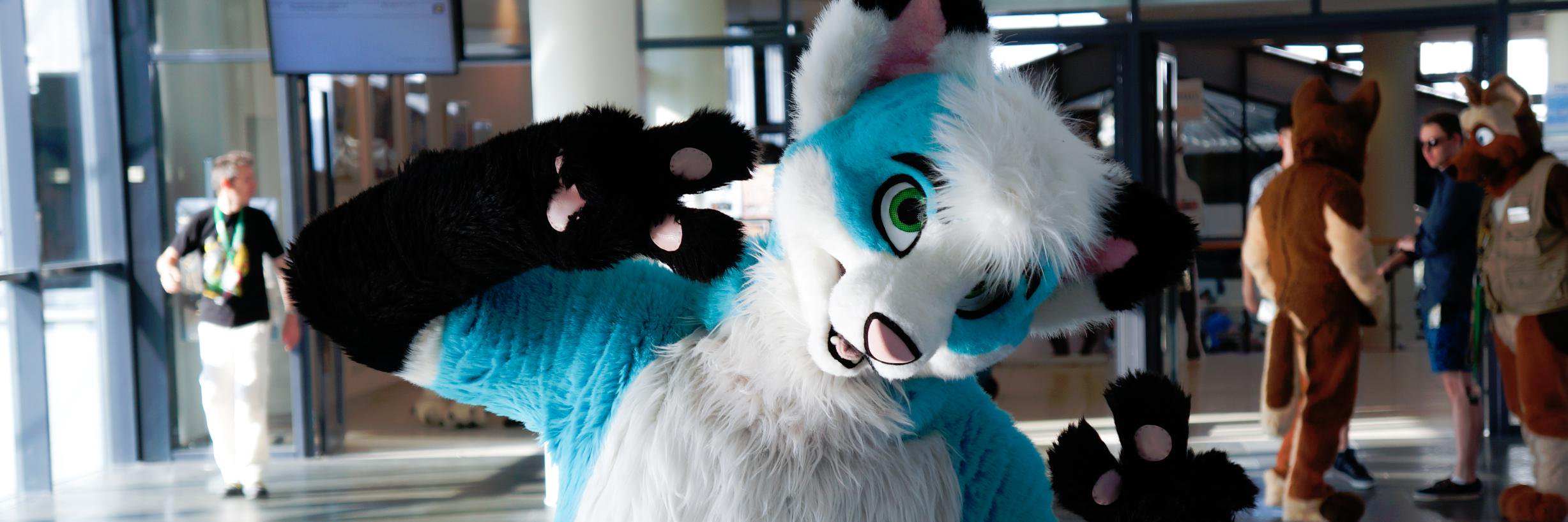 Yuki foxy banner