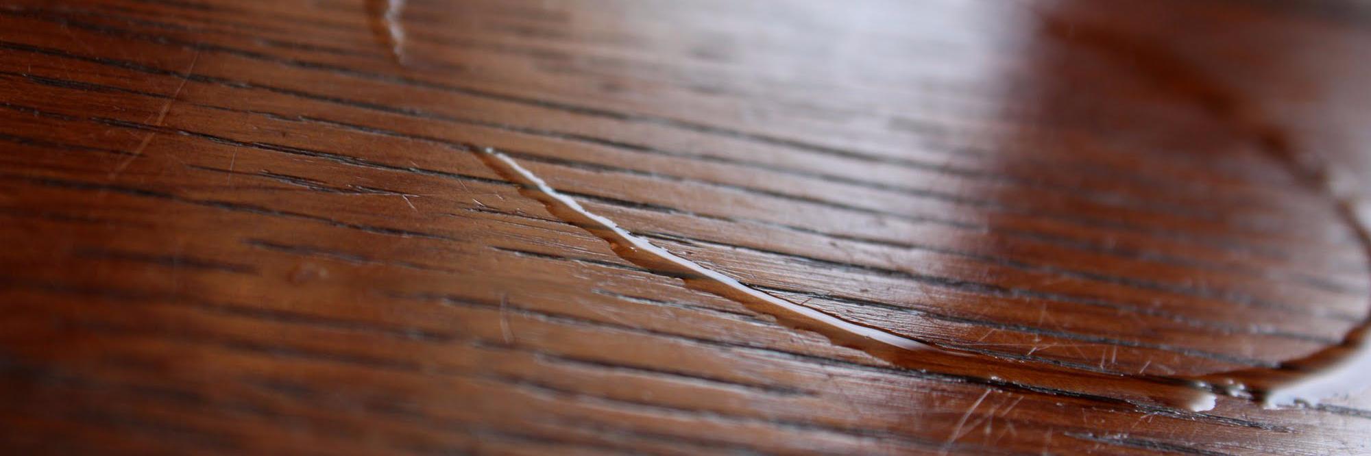 Thomas Speller banner