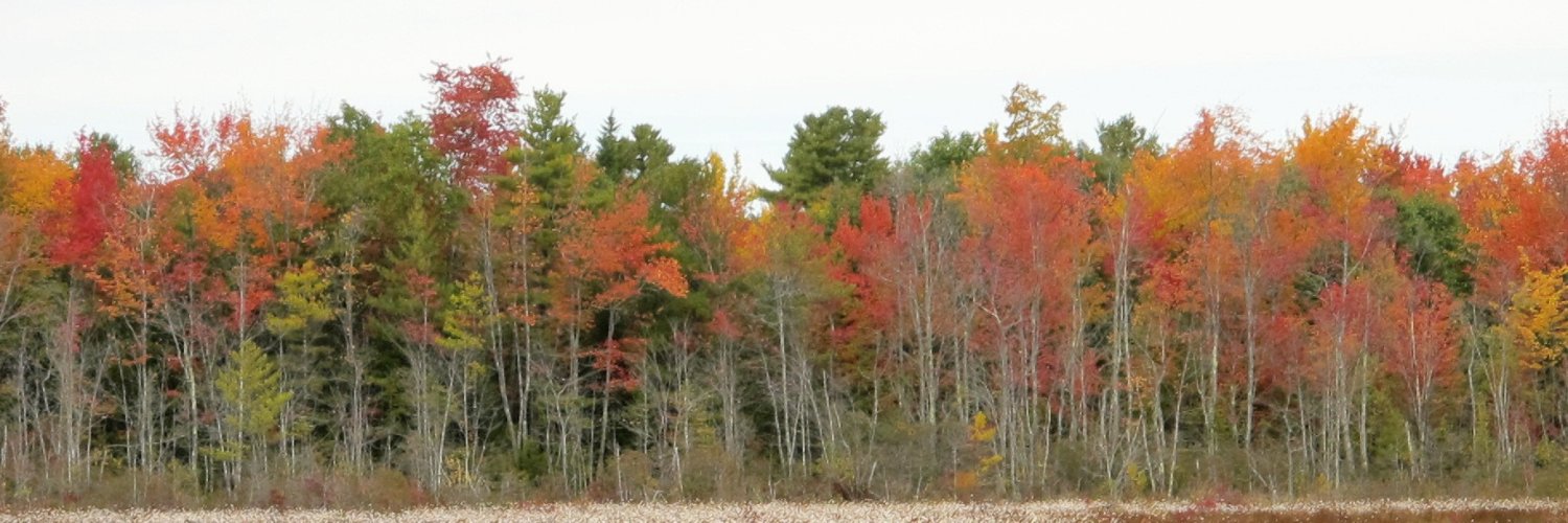 btlandtrust's profile banner image
