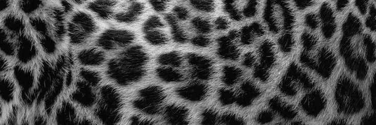 FF58343's profile banner image