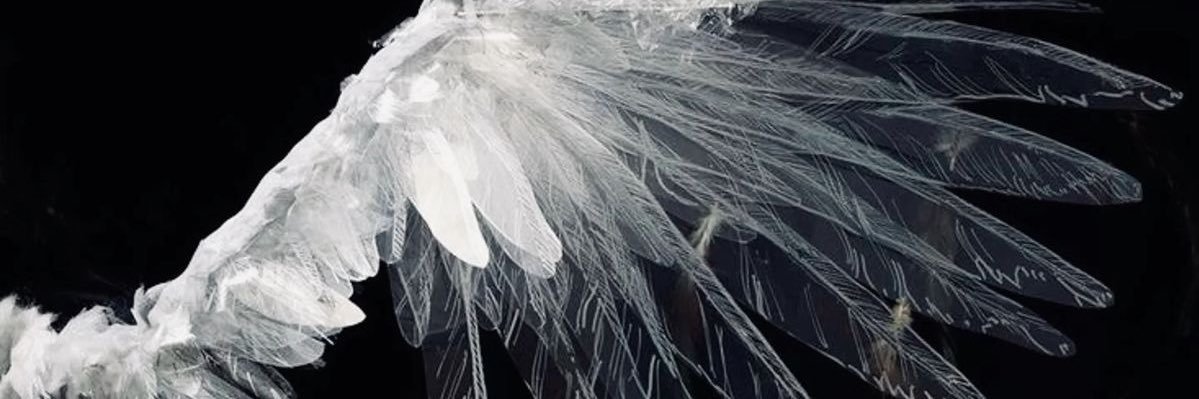 ♡ banner