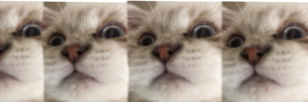 marmonrroee's profile banner image