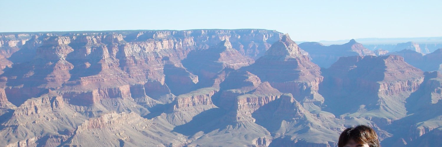 m9d507336's profile banner image