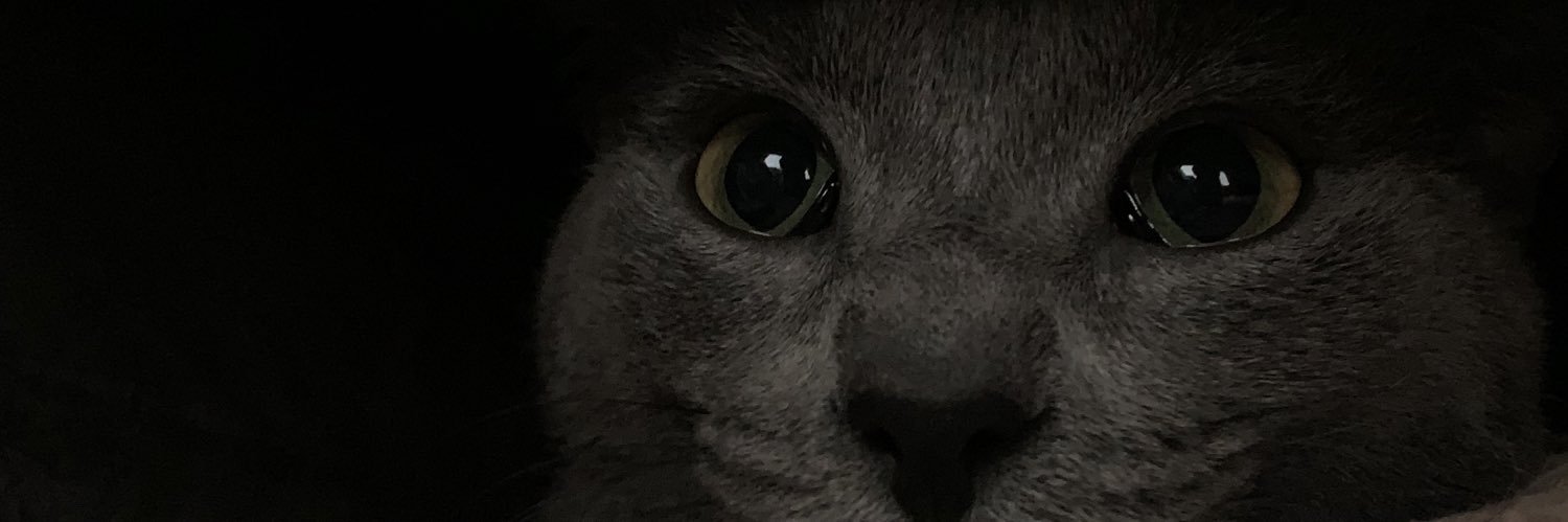 sofsoriaa's profile banner image
