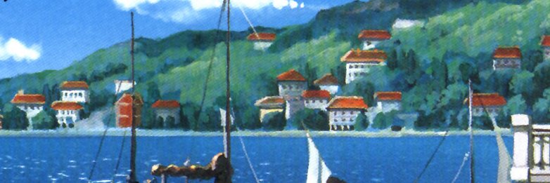 trout banner