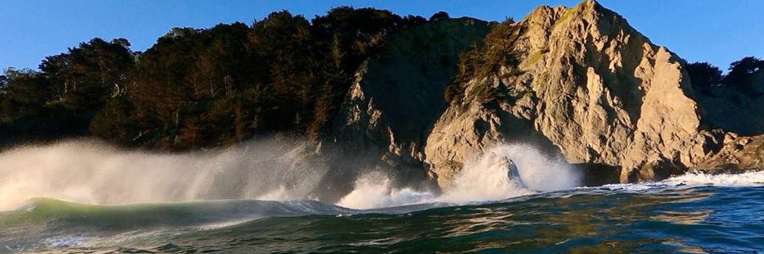 Amber Wave banner