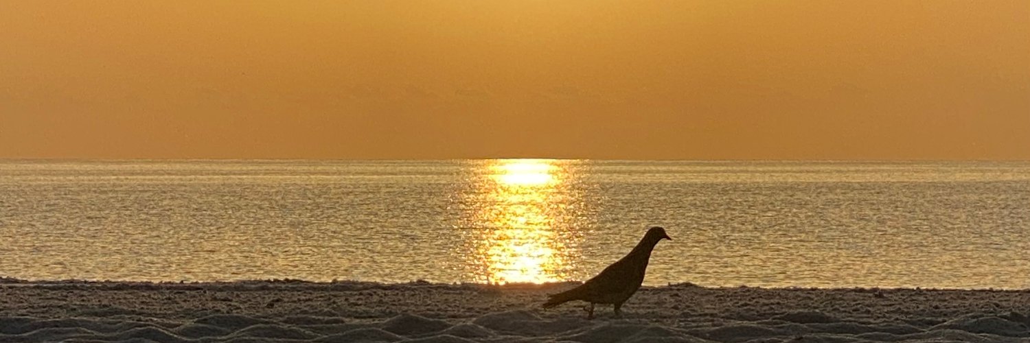 Ade Ferro 🟧 🌻 banner