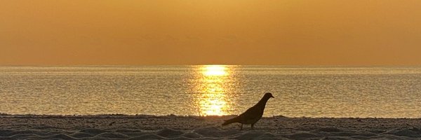 adeferr Profile Banner