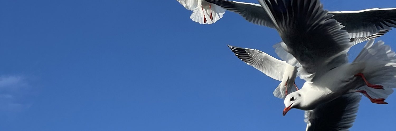 Sergio Alonso /🇮🇨 banner