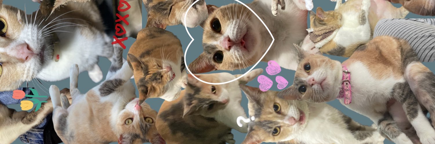 key_vil3002's profile banner image