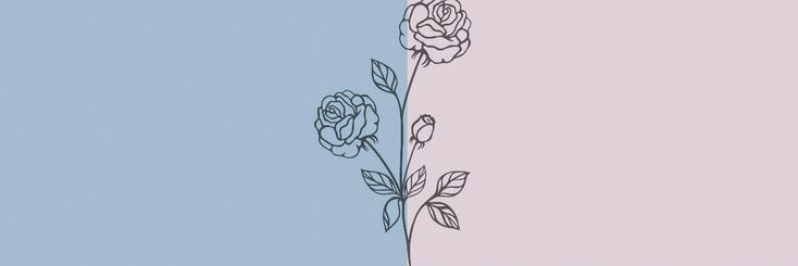 Susana banner