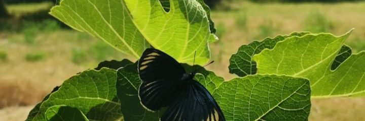 VictorRome87577's profile banner image