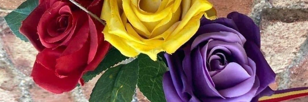estuveayer ;💜 🔻 banner