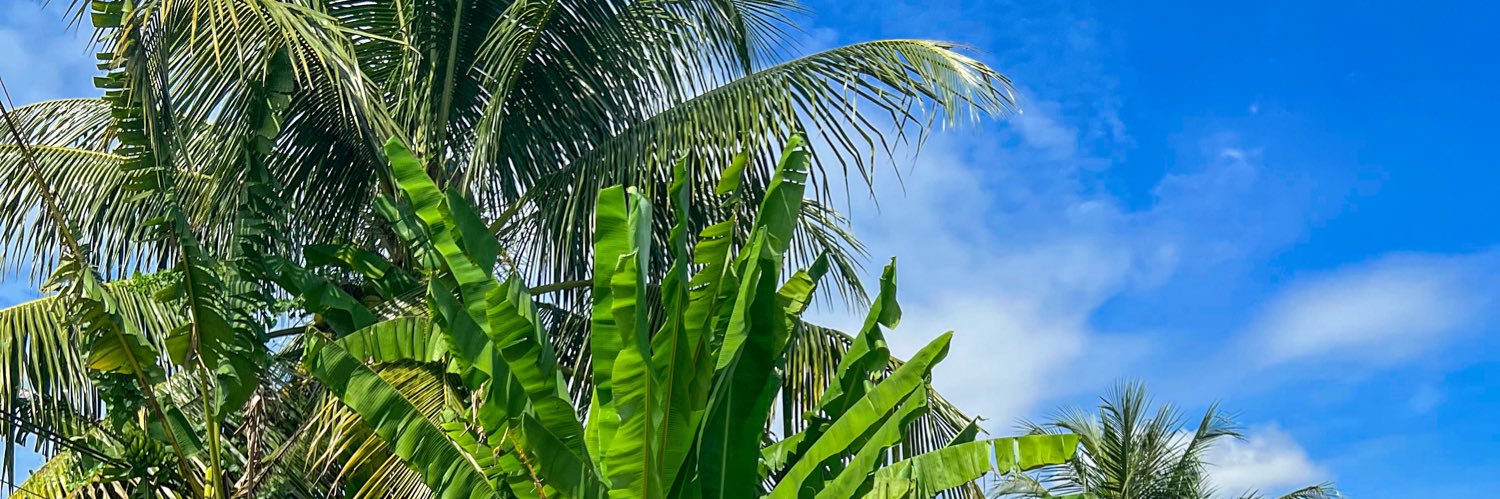 EhAzrul_'s profile banner image