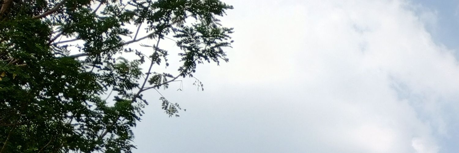 sryriq's profile banner image