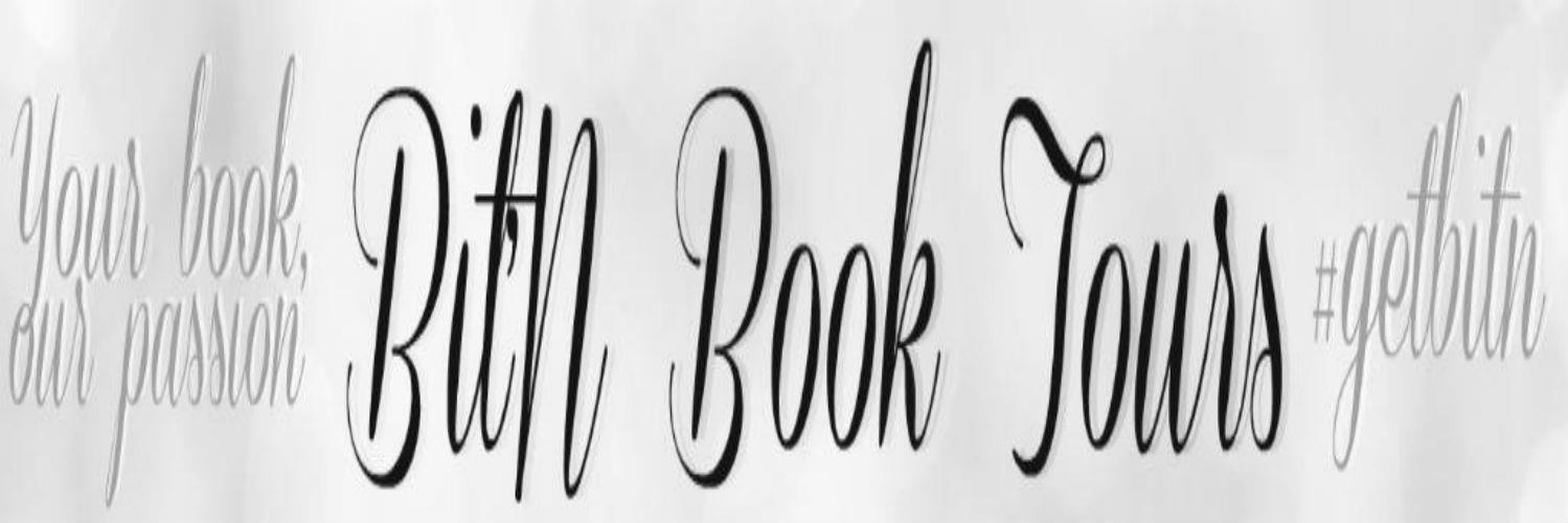 BitnBookPromote's profile banner image