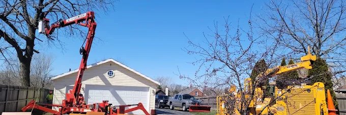 Tree & Snow Removal Services (@Treesnowservice) / Posts / X