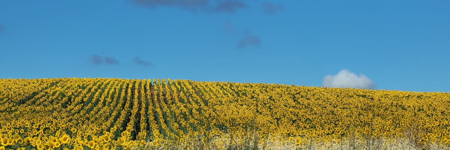 santiestebanCD's profile banner image