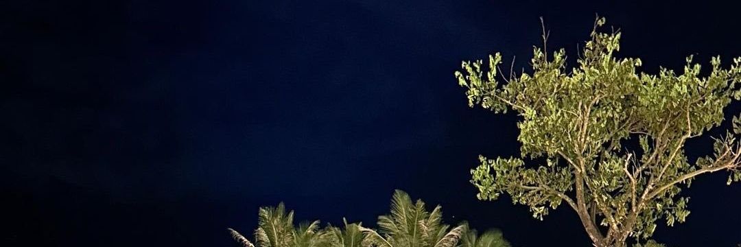 xaespakarina's profile banner image
