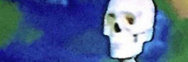 elementwistin_'s profile banner image