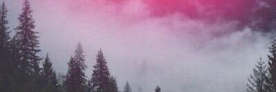 TankNikki's profile banner image