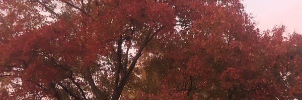 eruffner Profile Banner