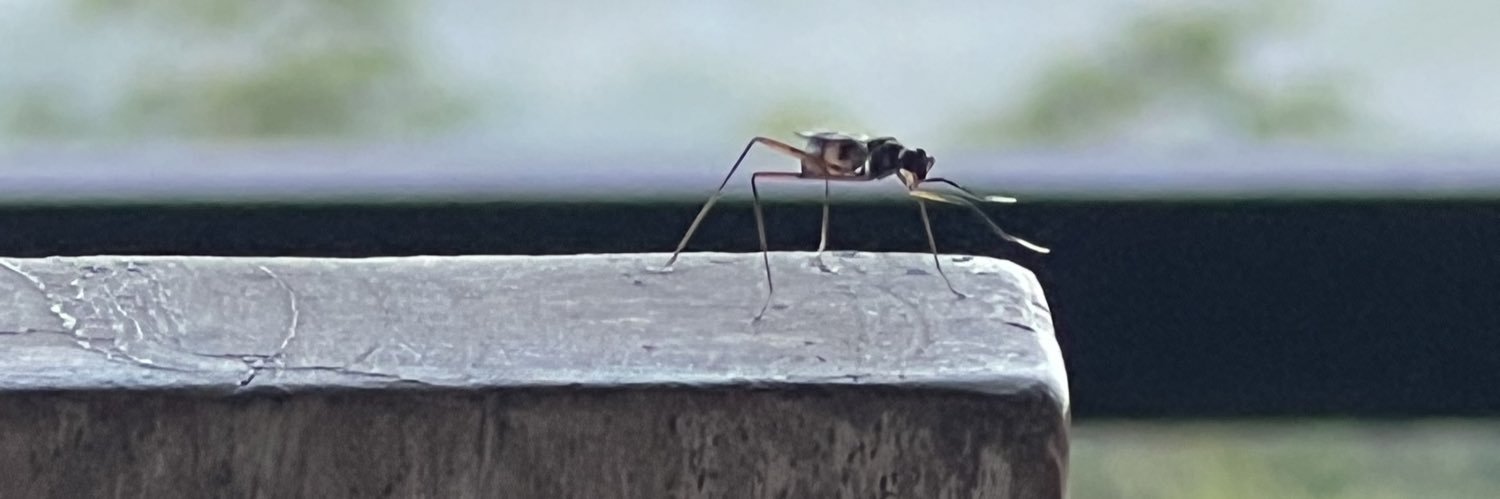 Security Heavy banner