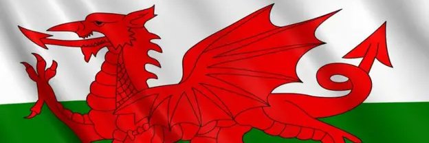Fig banner