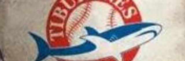 oleocar's profile banner image