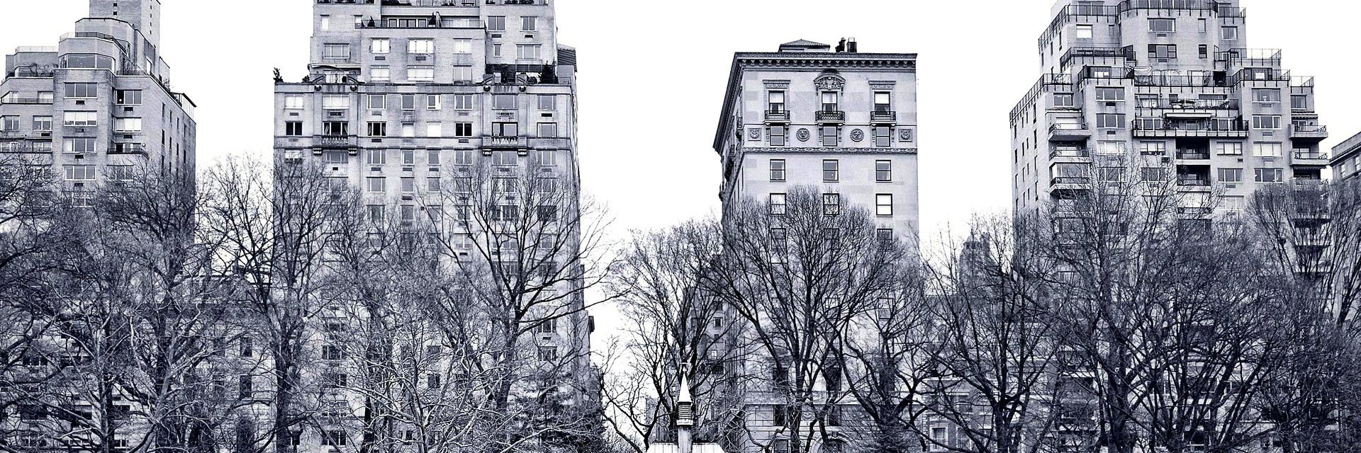 Tony_Sotto's profile banner image