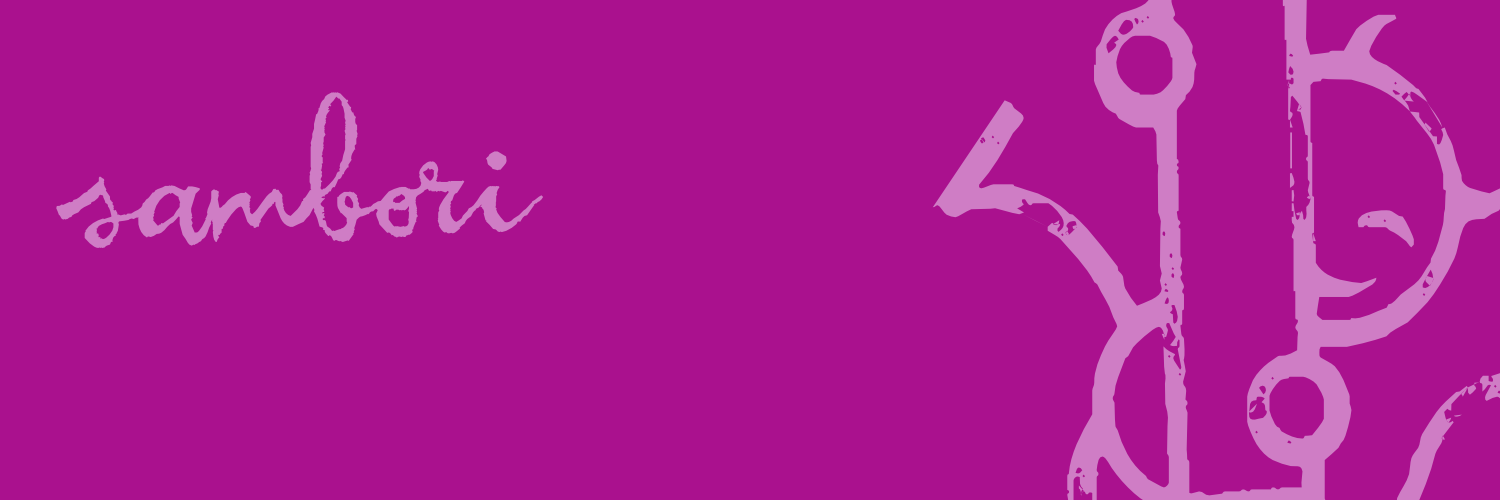 Fundació Sambori banner