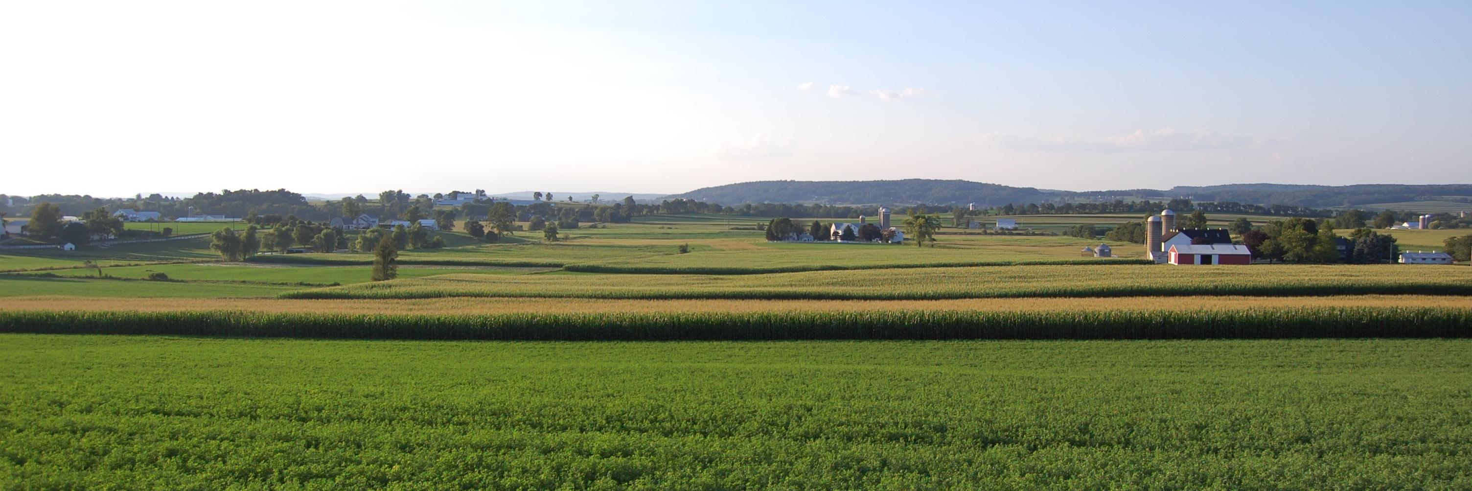 clementplace's profile banner image