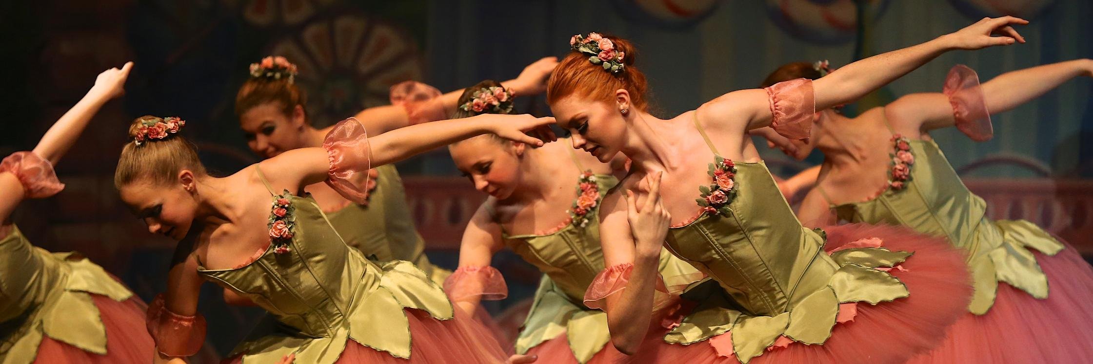 PlacerTheatreBallet banner