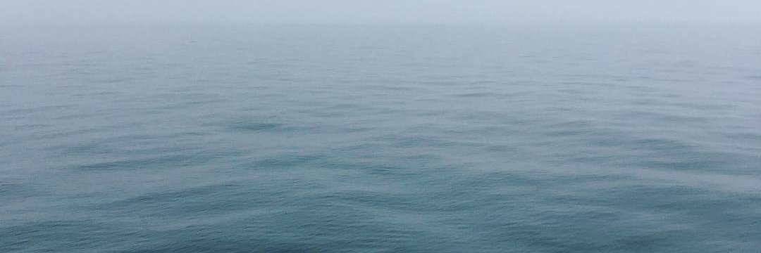 some_fidelity's profile banner image