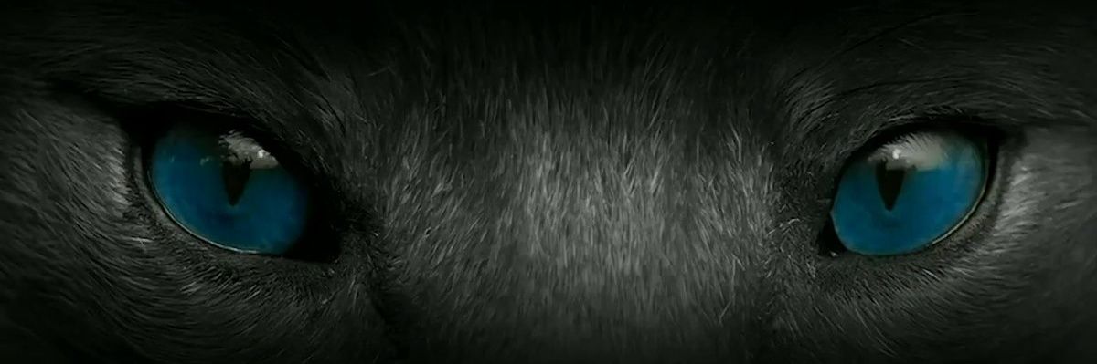 CofPunk1644's profile banner image