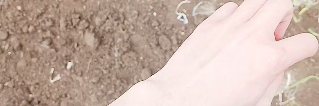 chenhaocdsl's profile banner image