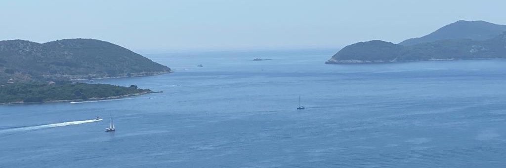 Matthew Bromberg banner