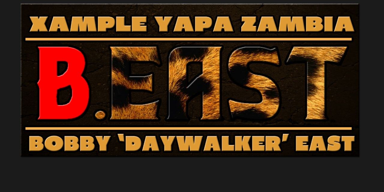 Bobbydaywalker's profile banner image