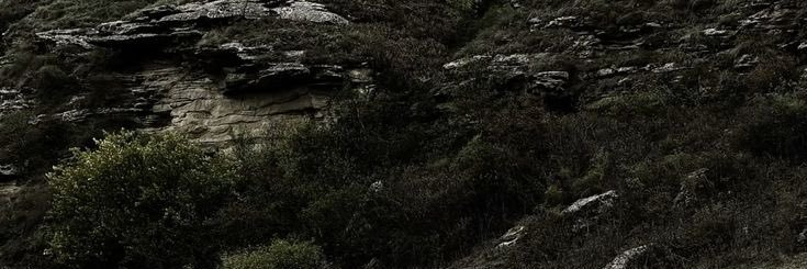 archinactive's profile banner image