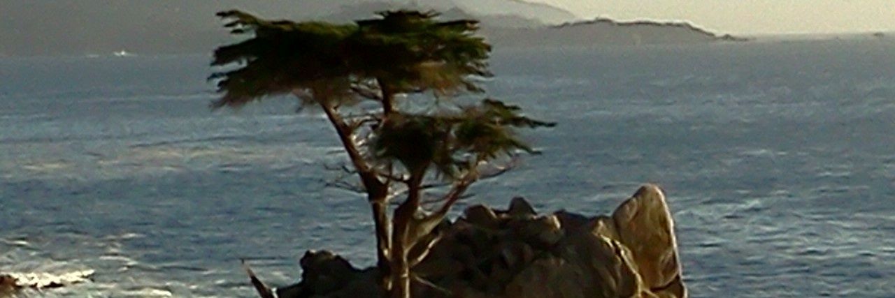 ElmaCani's profile banner image