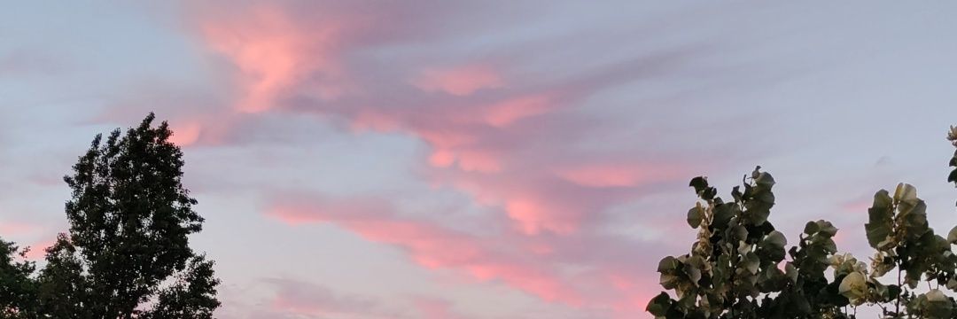 🍂𐰖𐰀𐰾𐰃𐰤 banner