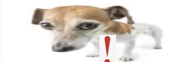 M0l1ly's profile banner image