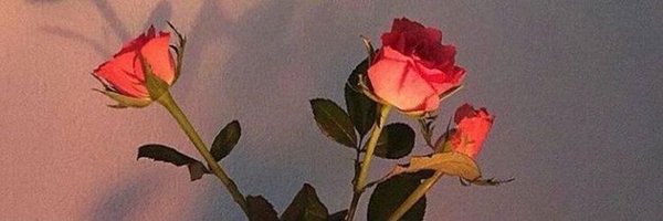imstandup_'s profile banner image