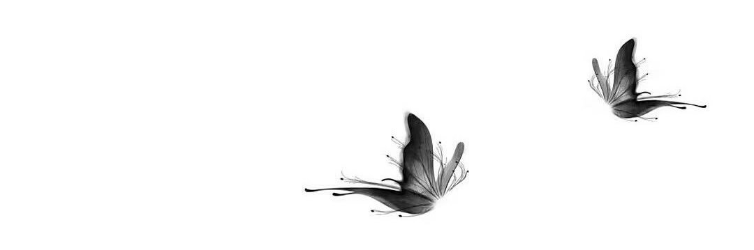 moli201661's profile banner image