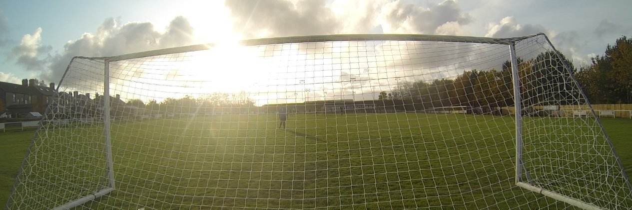 🐝Dode Allen🐝 banner